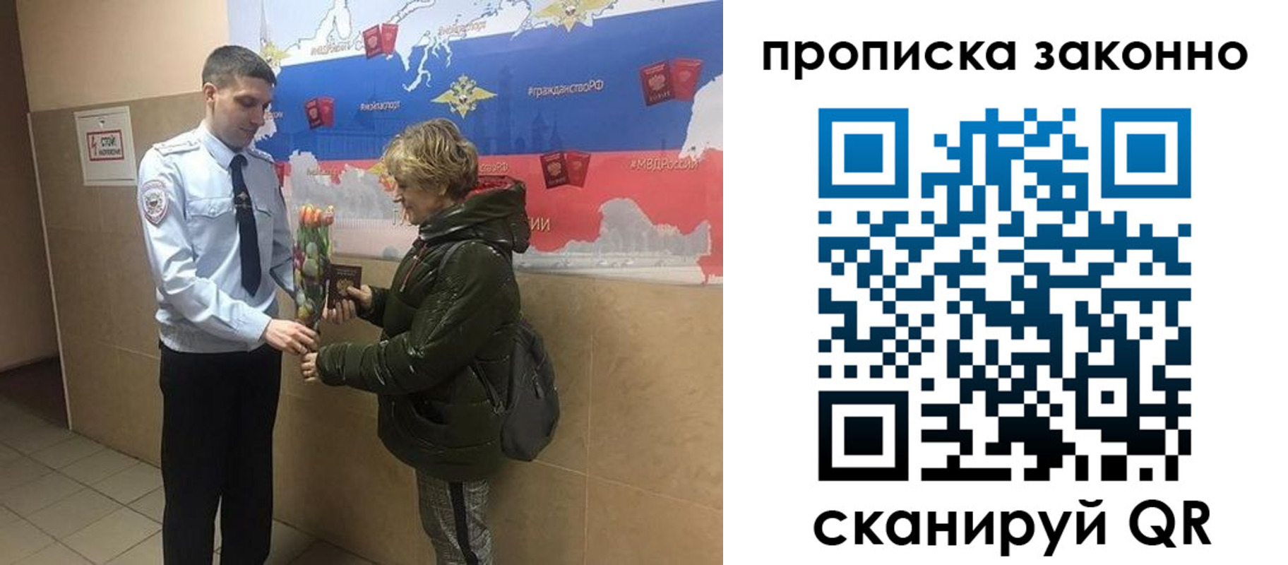 где прописаться в Щёкино